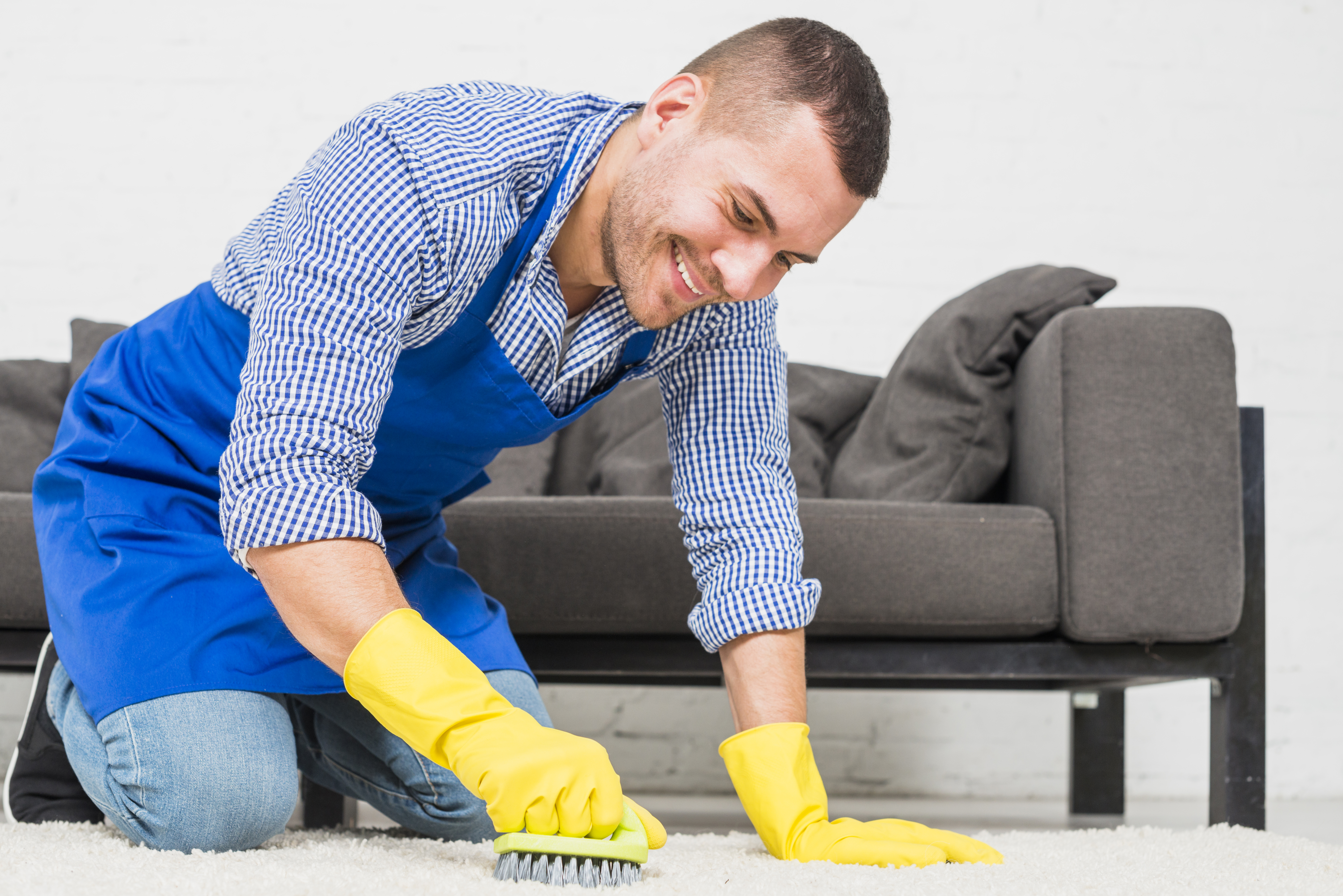 Pet Odor and Stain Removal Carpet Cleaning in Weymouth MA
